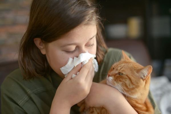 Что делать, если у ребенка аллергия на кошку